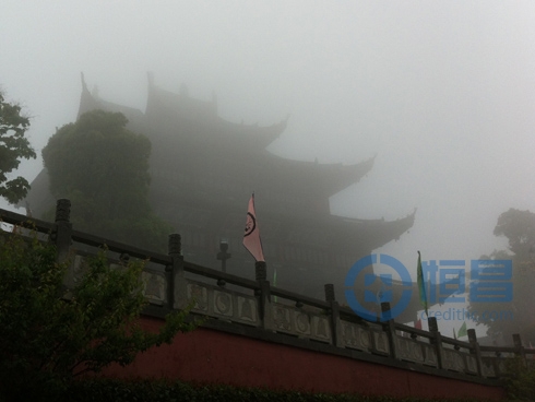 上海分公司農(nóng)家樂(lè)活動(dòng).jpg